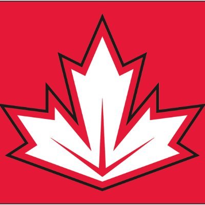 Passionate Toronto Sports Fan: Maple Leafs, Raptors, Blue Jays.