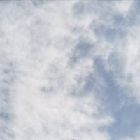 Mohammed (@m_alhumaidi_1) 's Twitter Profile