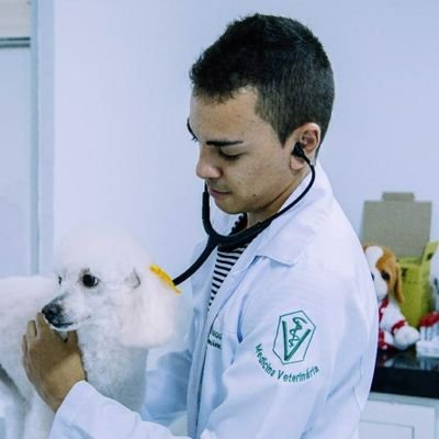 Médico Veterinário💉👨🏽⚕️
Pós Graduado em Clínica Médica e Cirurgia de Pequenos Animais.
😸🐶
03/10 ♎