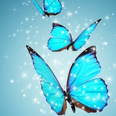 さつき 見たいと思う世界の変化にあなた自身がなりなさい マハトマ ガンジー 名言de風景 Http T Co Ey4aqk8oib