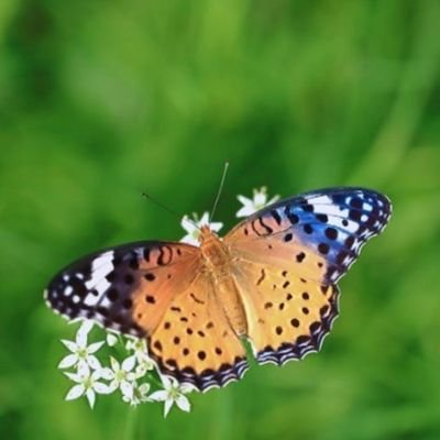 ky60965932's profile picture. ⭐恋つば専用垢⭐恋つば動画観て興奮を呟いたり叫んだり。妄想癖・変態み有り。れんくんのイケ顔/変顔と、つばさくんの可愛さ大好き💋無言ﾌｫﾛｰ歓迎/@-恋つば-垢は大体ﾌｫﾛﾊﾞ。どういう方かがわからない場合ﾌｫﾛﾊﾞしないこともあります😅
RDB専用🔑垢⇒@kFC202003