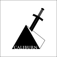 caliburndarts(@caliburndarts) 's Twitter Profile Photo