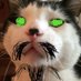 John Carroll๐ฑโ (@gizmocarroll69) Twitter profile photo John Carroll๐ฑโ (@gizmocarroll69) Twitter profile photo