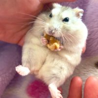 Y.O&T.O (@yuuki3589runner) 's Twitter Profile