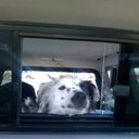 Bella Berg - @Belliberg - Twitter