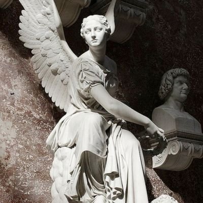 venusial's profile picture. 