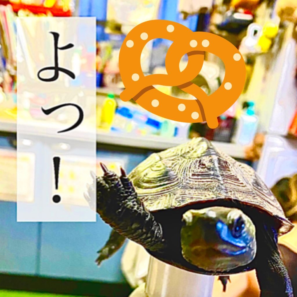 本津 出潮さんのプロフィール画像