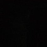 RJChased's profile picture. alt