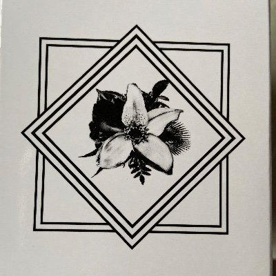 Da-iCE、Natural Lag、claquepotが中心ですが、他にも気になる事は呟きます　基本遠征なので現地先で行動を一緒して良いよって方が出来ると嬉しいです(❁'︶'❁)
