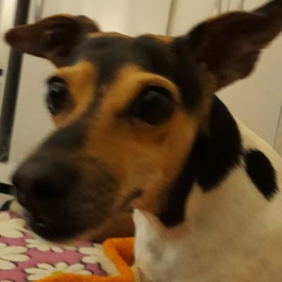 Lulbfs's profile picture. 