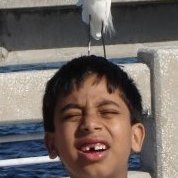 MohammedRumi2's profile picture. Background in Engineering and Finance. Interest in CBDC and investing.