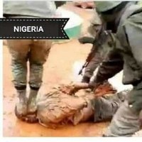 End nigeria Now(@AkpuruV) 's Twitter Profile Photo