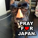 ど～もです！ hi japan!