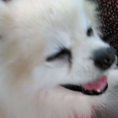 DgooaoTuoKKqvfz's profile picture. もともと生き物を食すのは苦手だった私、
最近
全ての生き物、乳製品もダメになりました、恐らくエンパスな私
エンパス故に自分と他人の境界がはっきりしない私
この性質を通し、
皆様の心が穏やかになるお手伝いをしたいと
思っています😀🌼。