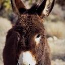 nathan watters - @nathanwatters - Twitter