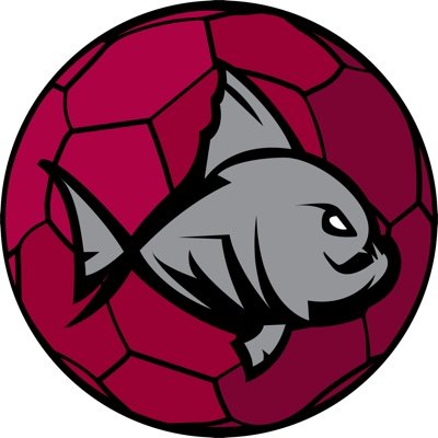 Nyon Tchoukball Club Profile