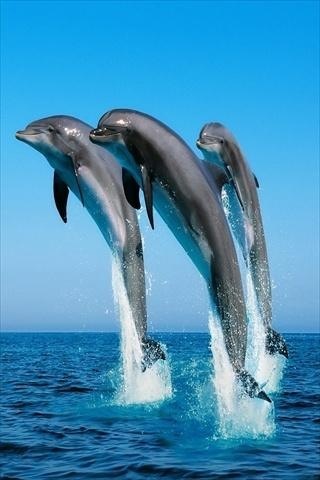 nikkiedwards26's profile picture. 