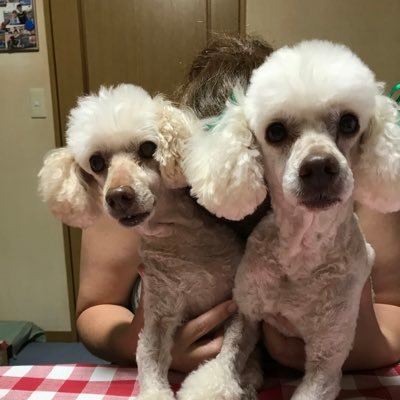 こんにちは♪:DeNAの球団サポーターです♪オリオン生ビールグルメ♪沖縄韓国観光ワンコ大好き♪조용필先生のペンです♪普通のUNCLEですが中隊長と気軽に呼んでくださいね〜♪ 仲良く情報交換しましょうネ🎶ヨ・ロ・シ・ク