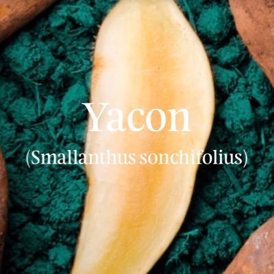 Irish Yacon Profile