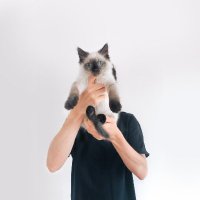 Mattie Lynch (@_mattielynch) 's Twitter Profile Photo Mattie Lynch (@_mattielynch) 's Twitter Profile Photo