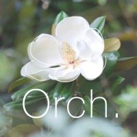 マグノリアオーケストラ公式 (@mag_orch) 's Twitter Profile