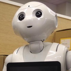 心をなくしたロボット。人間に戻るために修行中。
