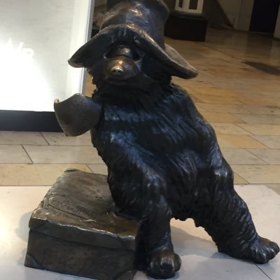 SweetPatootieee's profile picture. Woman - Female human