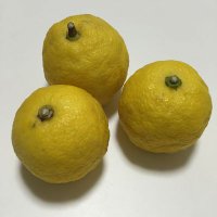 詩音 (@shion_tm) Twitter profile photo