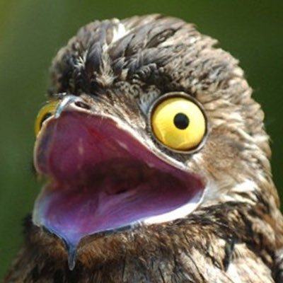 週末工房 Com Toshio Nakaguro Twitter