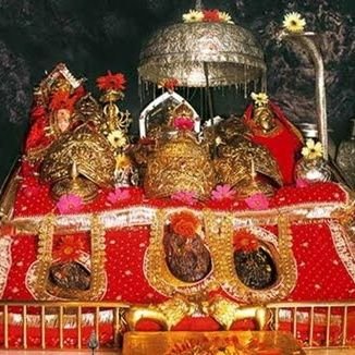 JammuRetweets's profile picture. Retweets for the hashtag #jammu
#jammuretweets