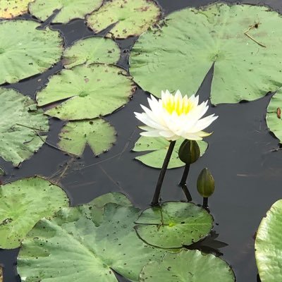 Penny816680011's profile picture. 