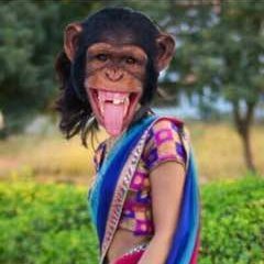 Beelza1's profile picture. 