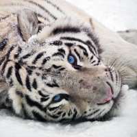 ์ฐ๋ ์ด ์ง๋ง LTi (@luuuuuuuuuuuu) 's Twitter Profile Photo ์ฐ๋ ์ด ์ง๋ง LTi (@luuuuuuuuuuuu) 's Twitter Profile Photo