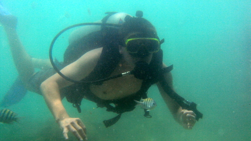 Aprendiz de Biologo Marinho