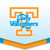 Lady Vol Athletics (@ladyvol_sports) Twitter profile photo