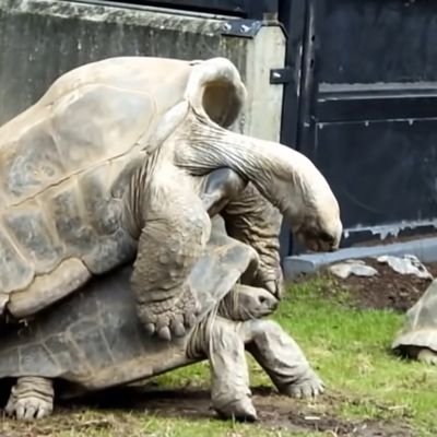 RedLifelebelge's profile picture. 