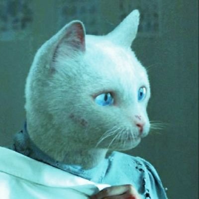 Mondaysさんのプロフィール画像