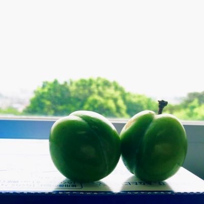 動きと動作の知覚の研究者をしています。@fathom500@mstdn.jp