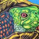 Gregory Lamping - @LampingGregory - Twitter