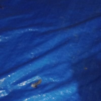 AkuSygku's profile picture. aku rindu kamu