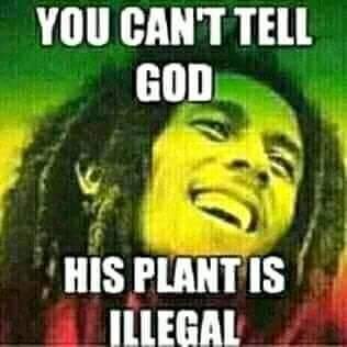 murraykiok's profile picture. Risk taker in entrepreneurship