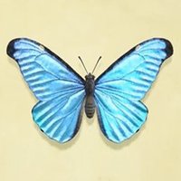 Pokhila (@pokhilaa) 's Twitter Profile Photo
