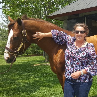 Dog & Horse Lover / Advocating for those unable to speak for themselves!
Equine Therapy Volunteer
Telecom/Mobile Phone Industry professional.
