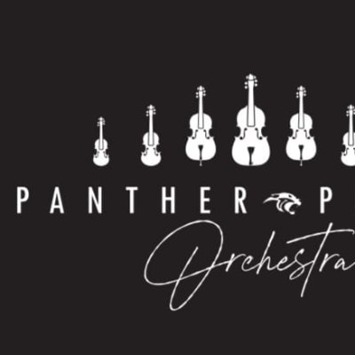 We are friends and families of DDMS Panther Pride Orchestras and are here to support the sustainability and growth of this prestigious program of 20+ years...