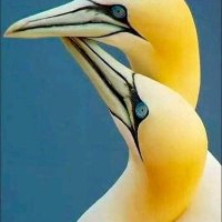 Jecinta Betty (@jecintabetty1) 's Twitter Profile Photo Jecinta Betty (@jecintabetty1) 's Twitter Profile Photo