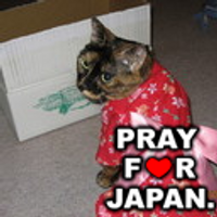 Masako Aida (@nekobi28) 's Twitter Profile Photo Masako Aida (@nekobi28) 's Twitter Profile Photo