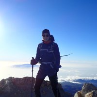 Stine (@gronpil) 's Twitter Profile