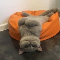 Dincer YAMANLAR (@osmandincer) Twitter profile photo