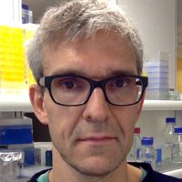 Koechl_Lab (@koechllab) 's Twitter Profile Photo Koechl_Lab (@koechllab) 's Twitter Profile Photo
