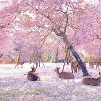 on (@on39738548) 's Twitter Profile